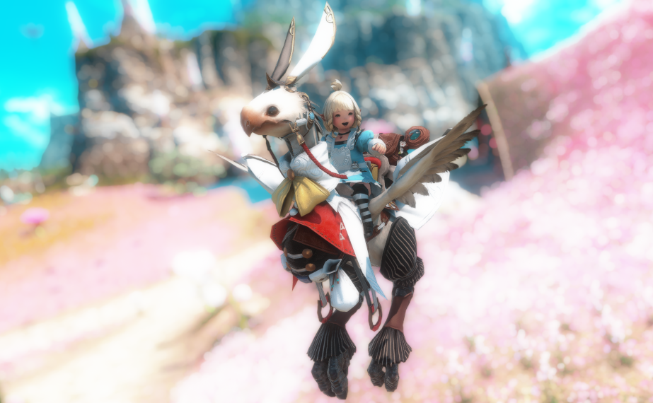 Wonderland Eorzea Collection